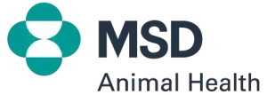 Msd