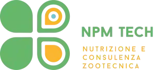 Npm