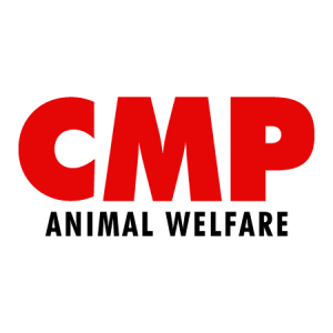 Cmp